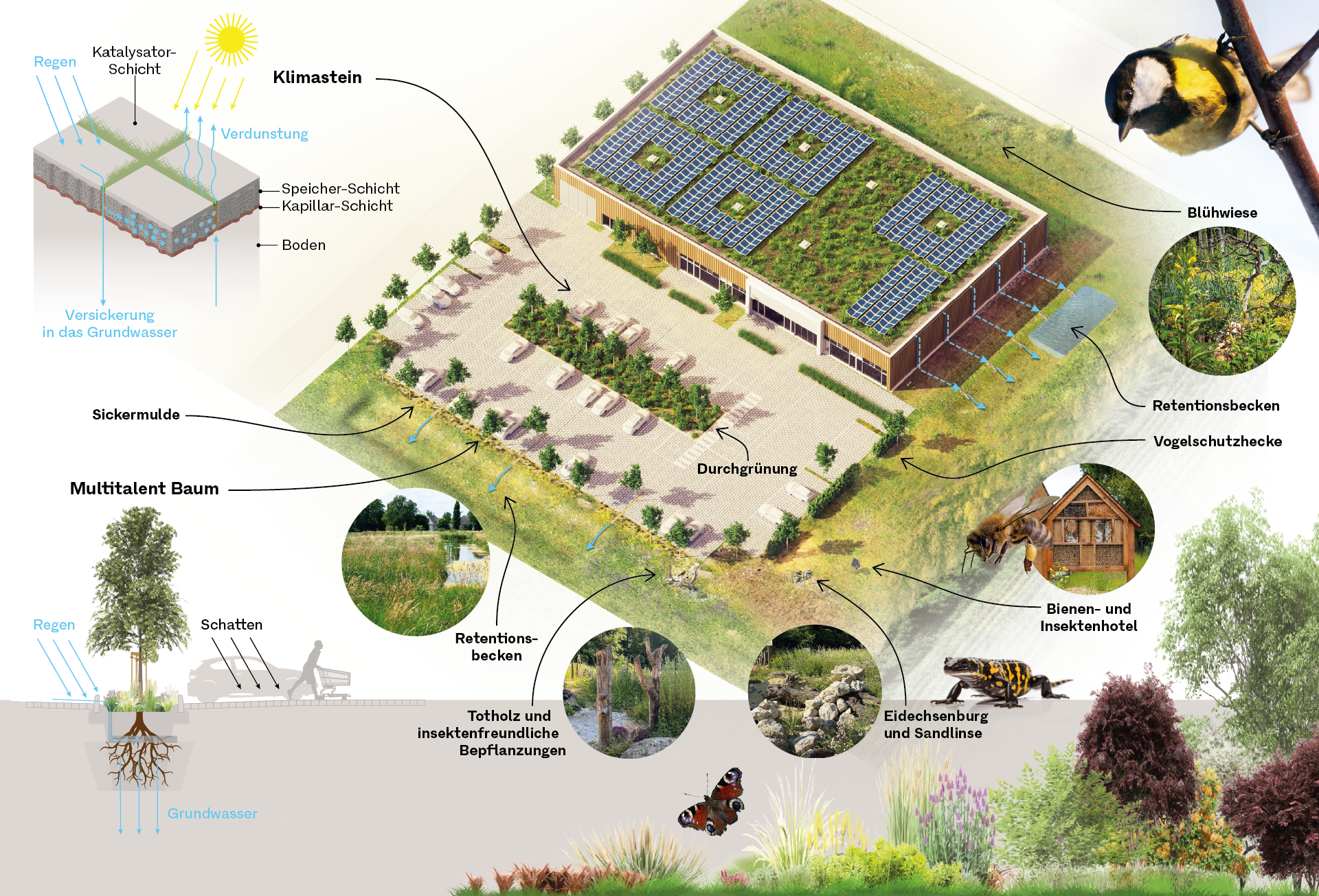 Infografik RATISBONA ECO
