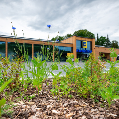 ECOPlus Markt Mülsen