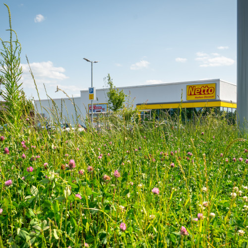 Netto Katlenburg-Lindau